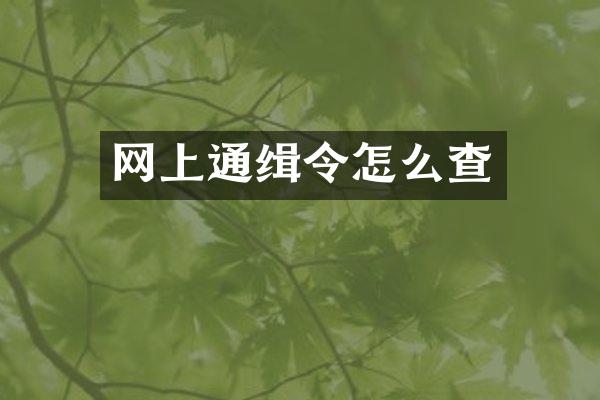 网上通缉令怎么查