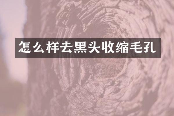 怎么样去黑头收缩毛孔