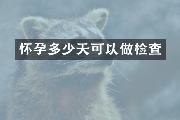 怀孕多少天可以做检查