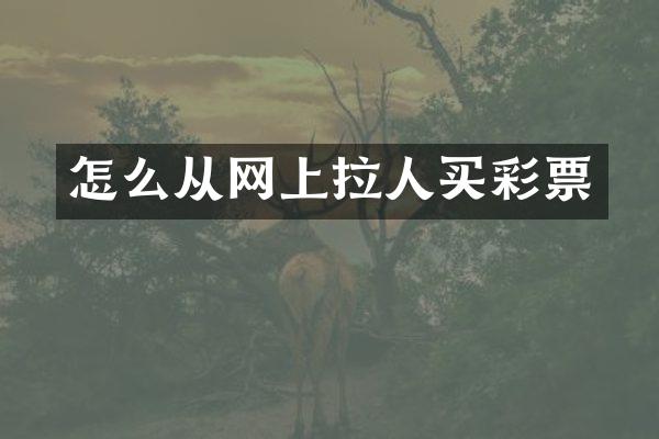 怎么从网上拉人买彩票