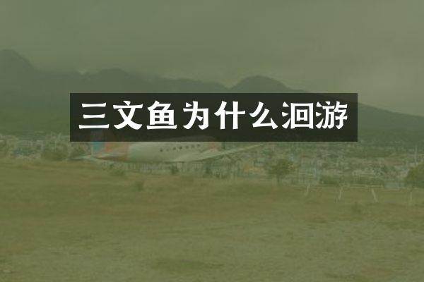 三文鱼为什么洄游