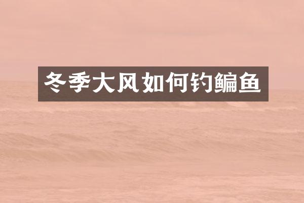 冬季大风如何钓鳊鱼