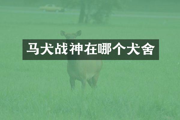 马犬战神在哪个犬舍