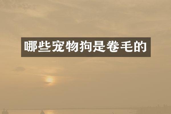哪些宠物狗是卷毛的