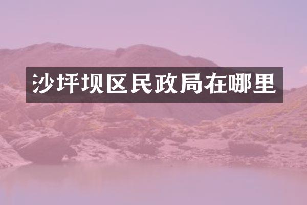 沙坪坝区民政局在哪里
