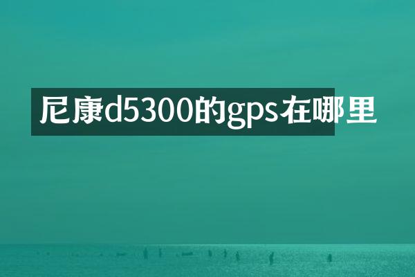 尼康d5300的gps在哪里