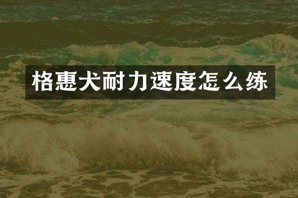 格惠犬耐力速度怎么练