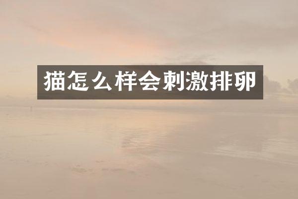 猫怎么样会刺激排卵