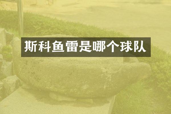 斯科是哪个球队