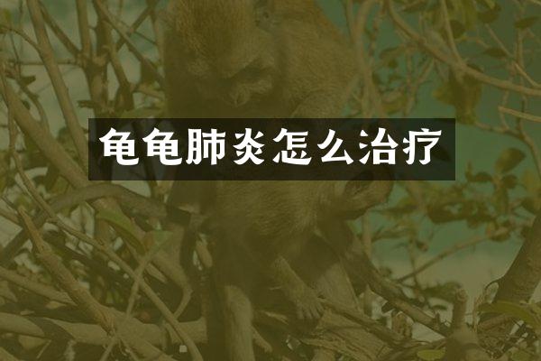 龟龟肺炎怎么治疗