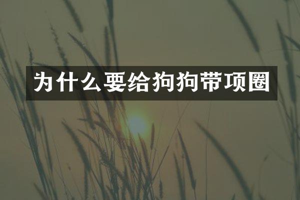 为什么要给狗狗带项圈