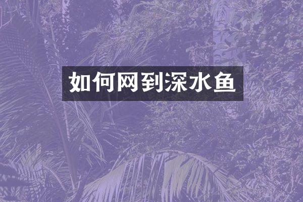 如何网到深水鱼