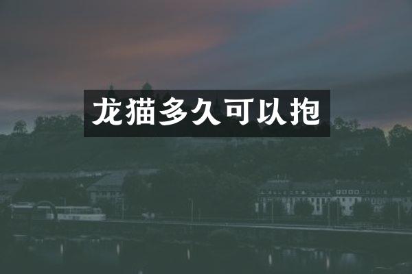 龙猫多久可以抱