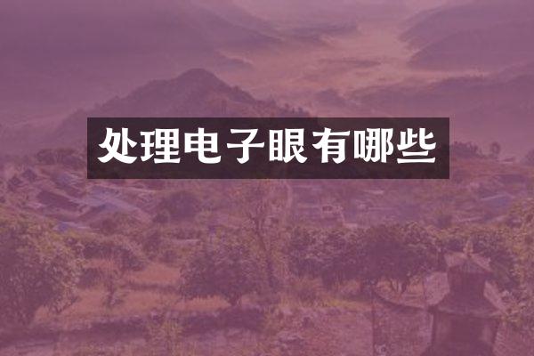 处理电子眼有哪些
