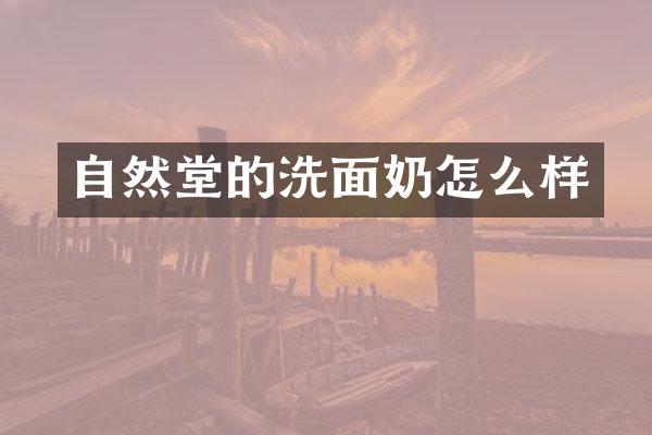 自然堂的洗面奶怎么样