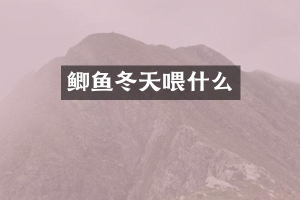 鲫鱼冬天喂什么