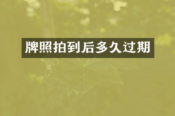 牌照拍到后多久过期