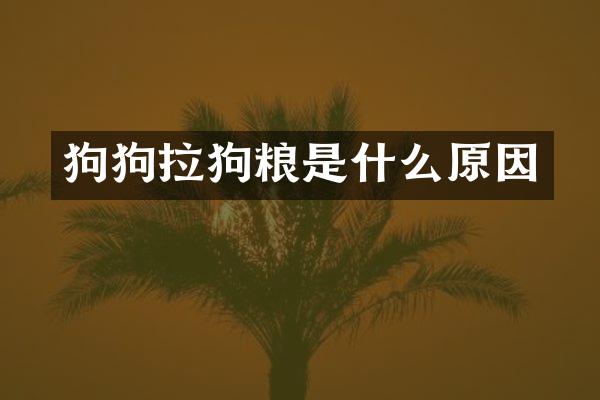 狗狗拉是什么原因