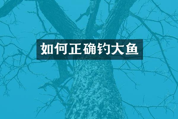 如何正确钓大鱼