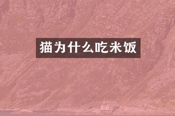猫为什么吃米饭