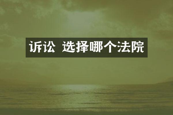 诉讼 选择哪个法院