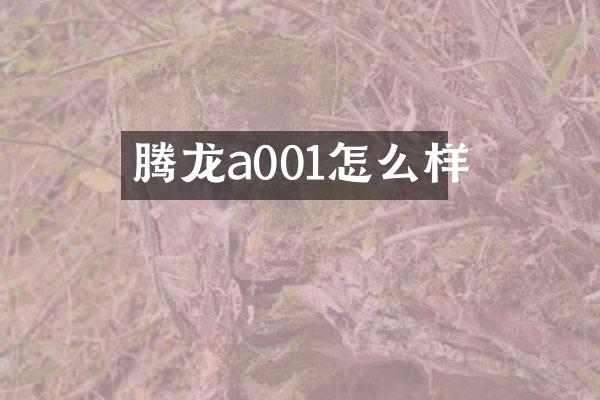 腾龙a001怎么样