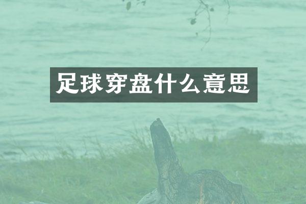 足球穿盘什么意思