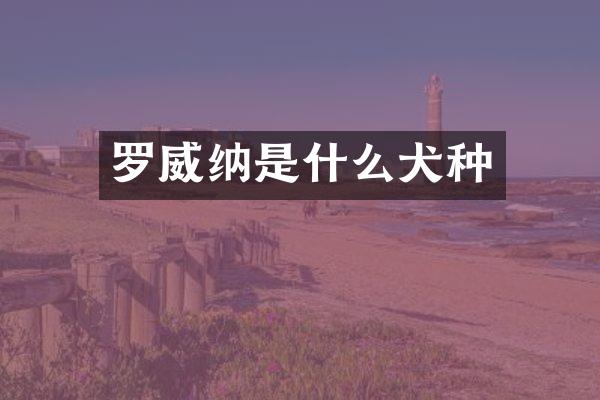 罗威纳是什么犬种