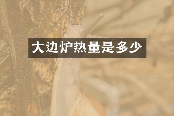 大边炉热量是多少