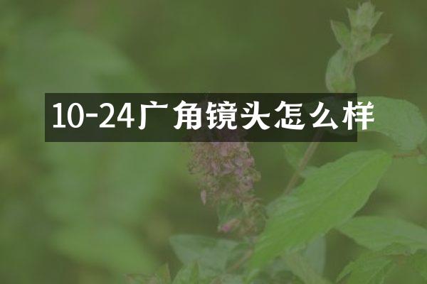 10-24广角镜头怎么样