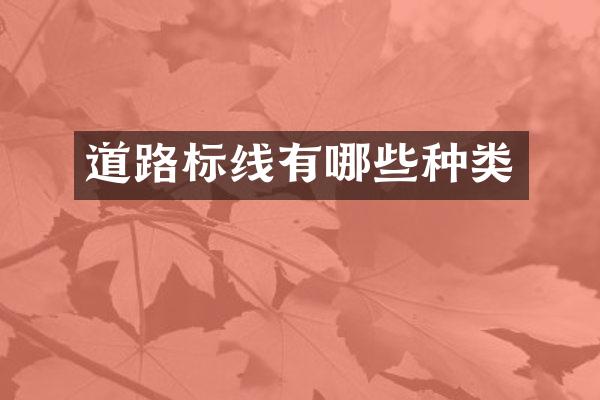 道路标线有哪些种类