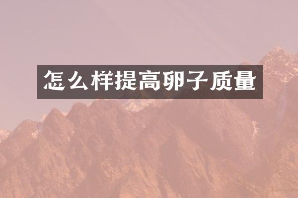 怎么样提高卵子质量