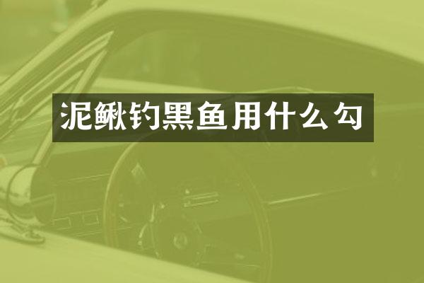 泥鳅钓黑鱼用什么勾