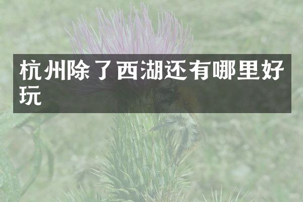 杭州除了西湖还有哪里好玩