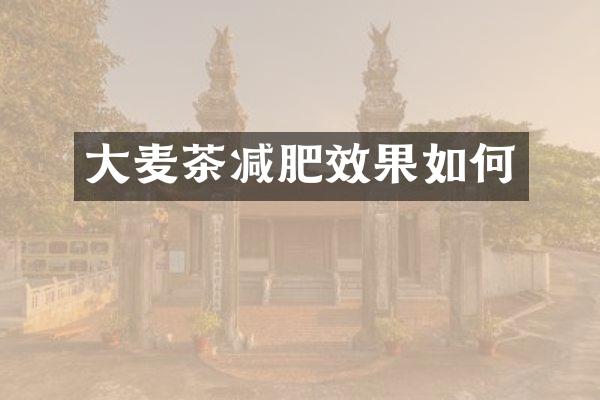 大麦茶减肥效果如何
