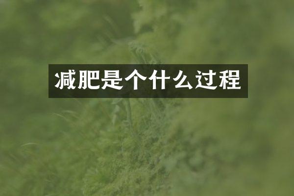 减肥是个什么过程