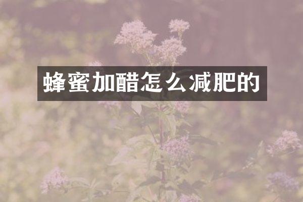 蜂蜜加醋怎么减肥的