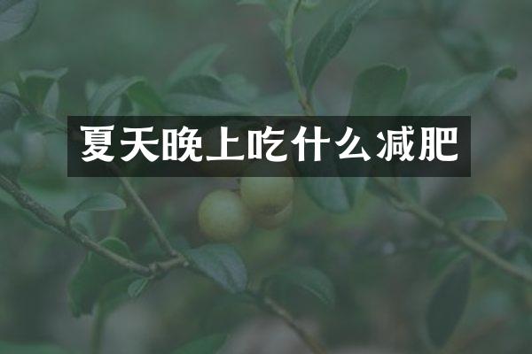 夏天晚上吃什么减肥