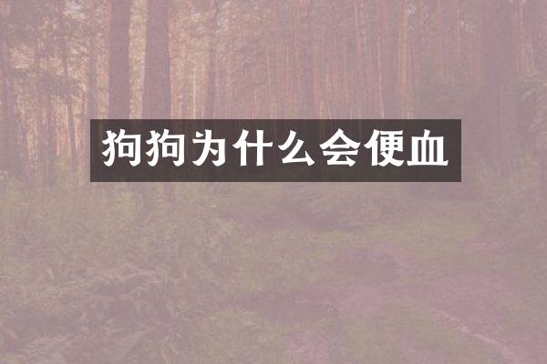 狗狗为什么会便血