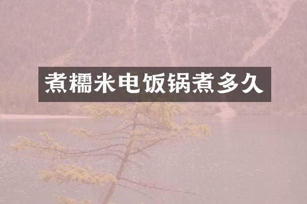 煮糯米电饭锅煮多久