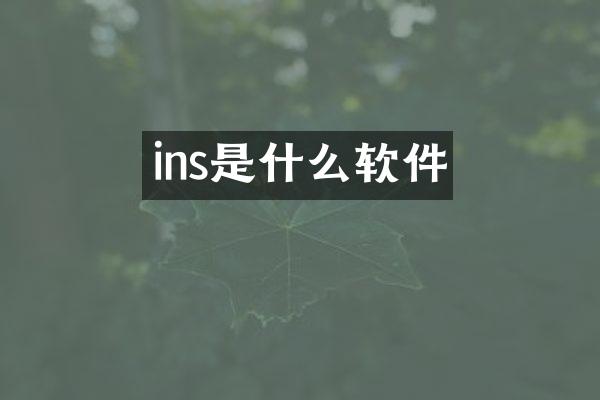 ins是什么软件