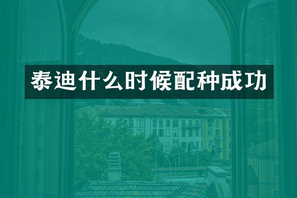 泰迪什么时候配种成功