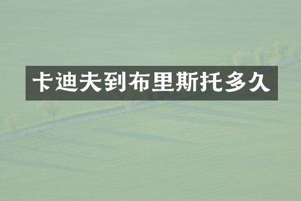 卡迪夫到布里斯托多久