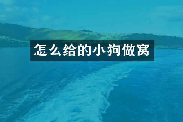 怎么给的小狗做窝