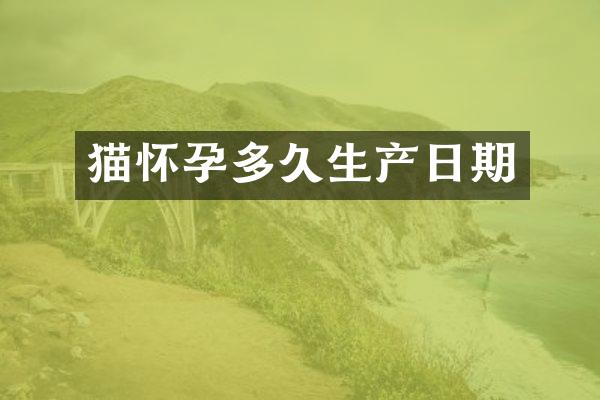 猫怀孕多久生产日期