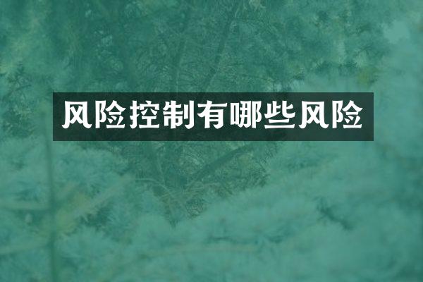 风险控制有哪些风险