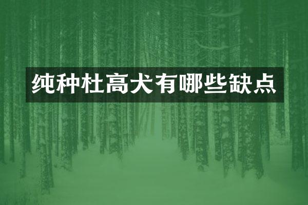 纯种杜高犬有哪些缺点