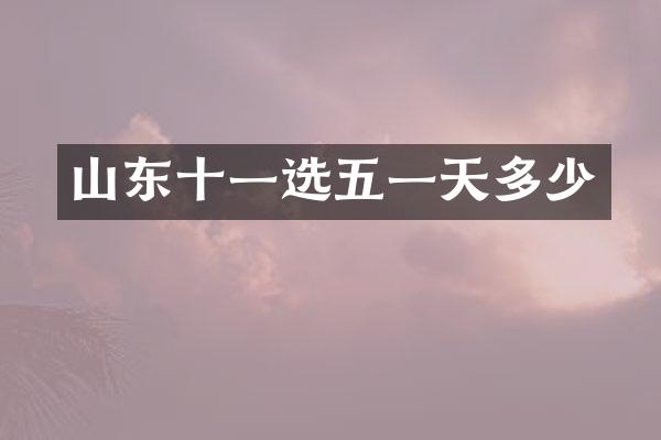 山东十一选五一天多少