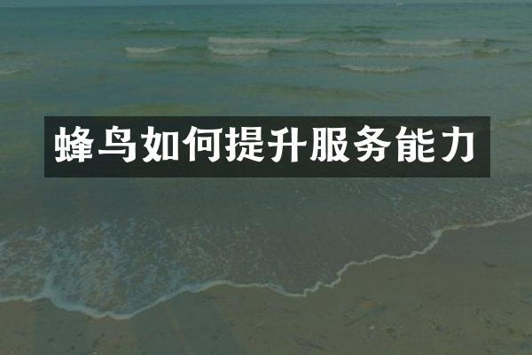 蜂鸟如何提升服务能力