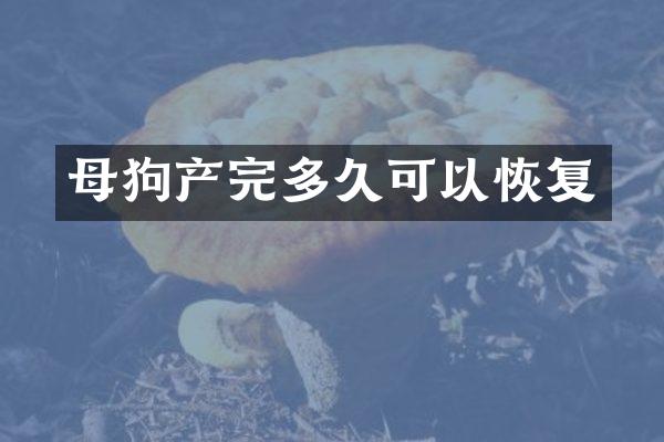 母狗产完多久可以恢复